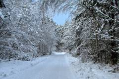 Borne-Sulinowo, ul. Sportowa