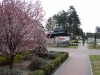 dsc00380