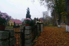 Koło Gospodyń Wiejskich w Łubowie realizuje "akcję chryzantemy" - Ostroróg.