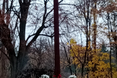Koło Gospodyń Wiejskich w Łubowie realizuje "akcję chryzantemy" - Rakowo.
