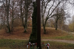 Koło Gospodyń Wiejskich w Łubowie realizuje "akcję chryzantemy" - Starowice.
