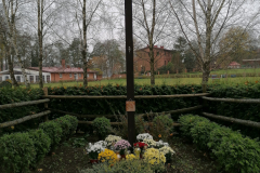Koło Gospodyń Wiejskich w Łubowie realizuje "akcję chryzantemy" - Strzeszyn.