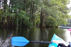 IMG_20200829_132817