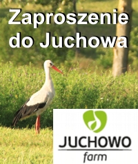 Finałowy występ Letniej Szkoły Cyrkowej w Juchowie