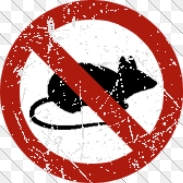 Obwieszczenie Burmistrza Bornego Sulinowa