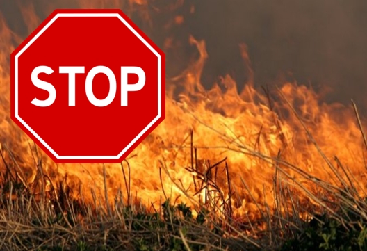 Stop wypalaniu traw!