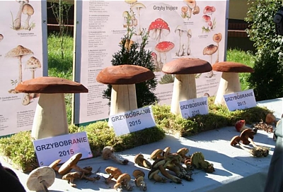 VII edycja Grzybobrania