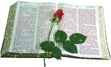 8 maja – Dzień Bibliotekarza i Bibliotek