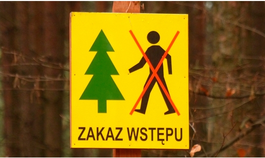 Odwołanie zakazu wstępu do lasu w Leśnictwie Płytnica