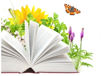 8 maja – Dzień Bibliotekarza i Bibliotek