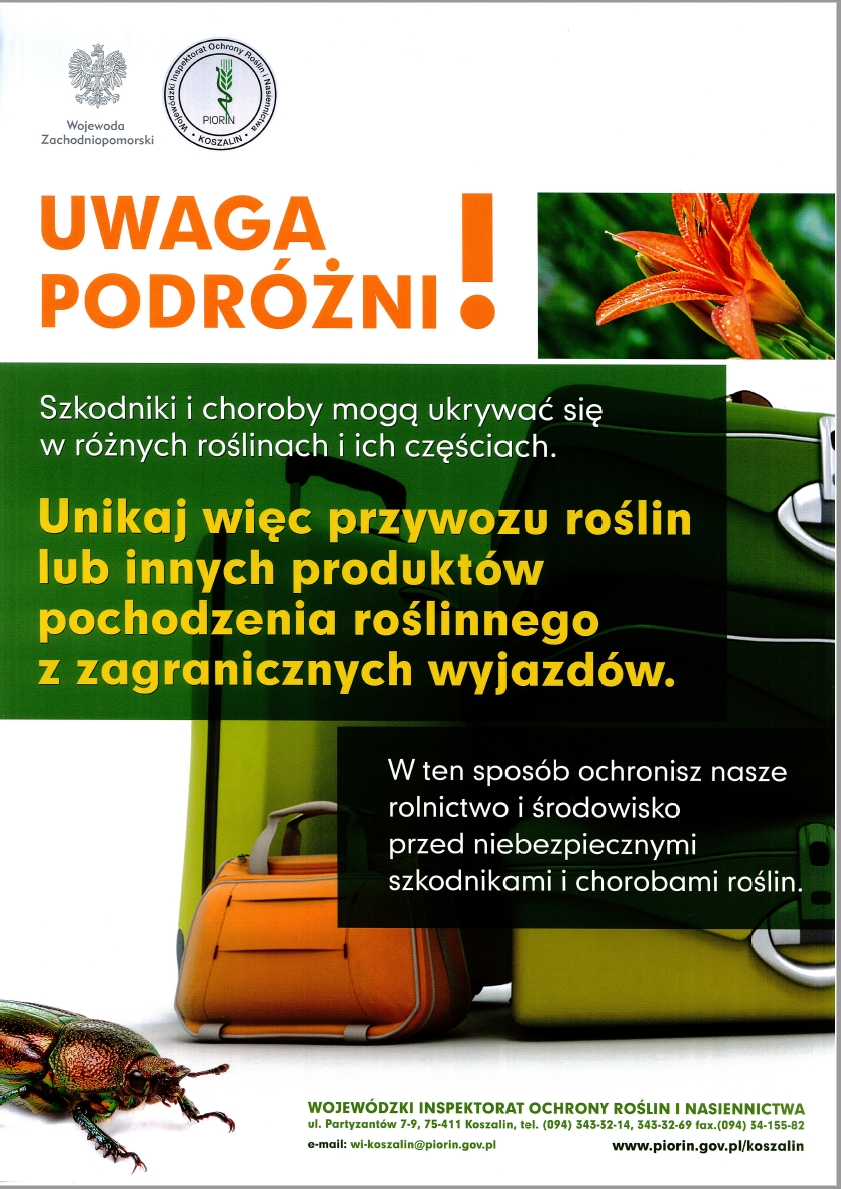 Uwaga podróżni!