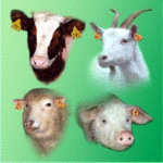 Obowiązkowy spis zwierząt