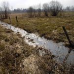 Rowy melioracyjne i obowiązek ich utrzymania