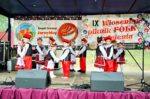 IX „Wiosenny Piknik  Folk”