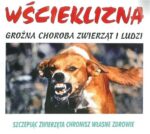 Zachodniopomorski Wojewódzki Lekarz Weterynarii przypomina o obowiązku szczepień przeciw wściekliźnie