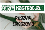 Zwierzowa Akcja Kastracja Zwierzowa Akcja Kastracja